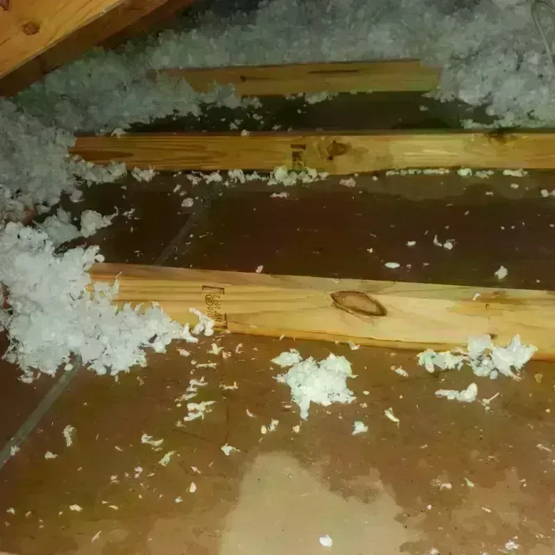 Attic Water Damage in Woodlawn Beach, FL