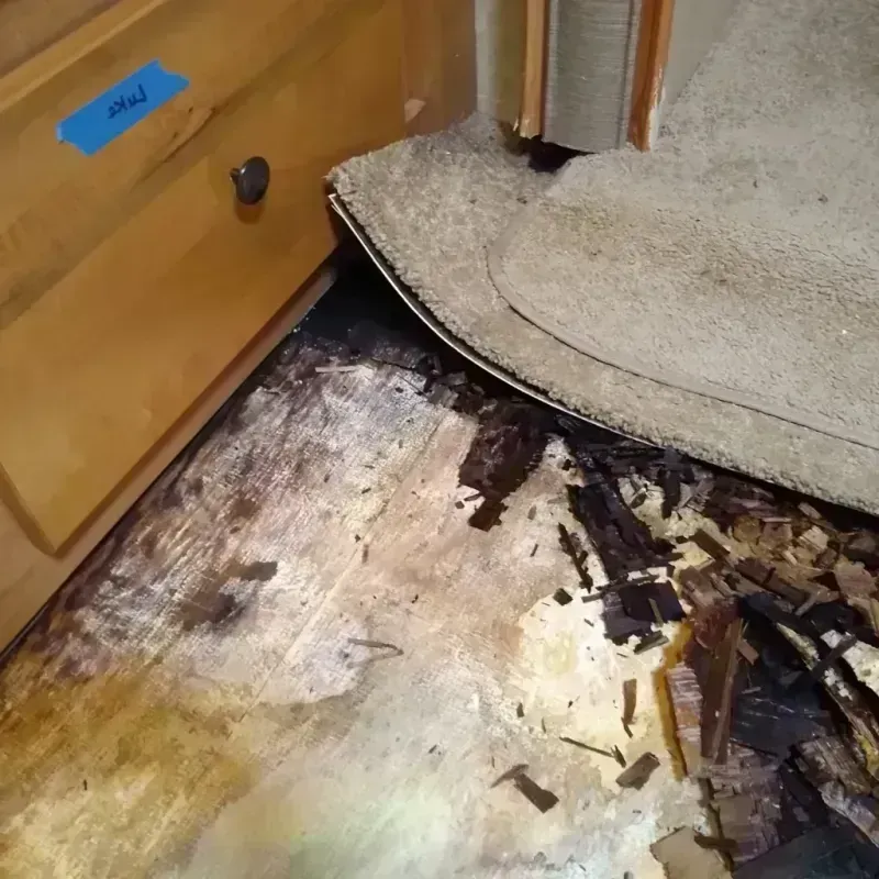 Wood Floor Water Damage in Woodlawn Beach, FL